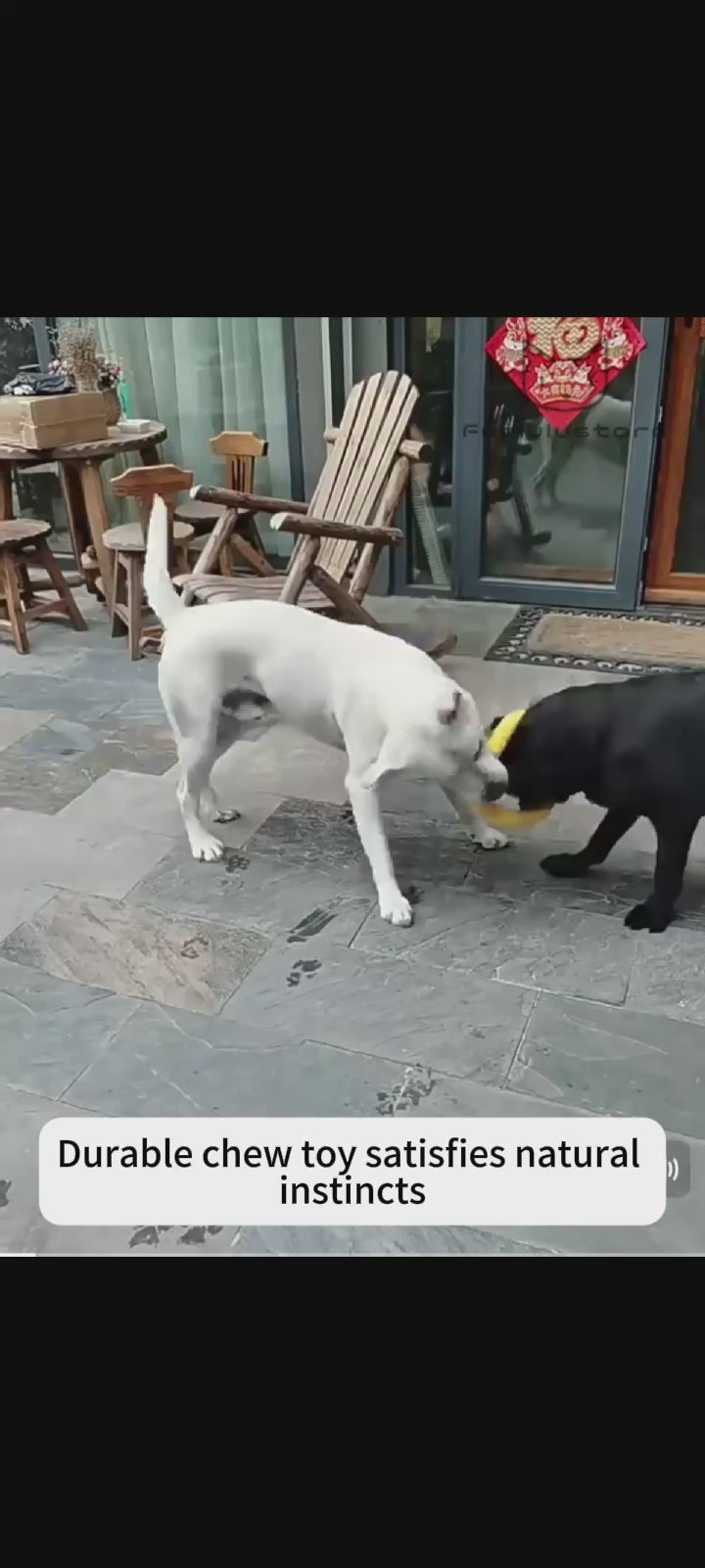 Dog catching yellow flying ring during fetch - Furlulustore